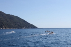 image018