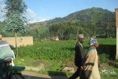 2011 Brudlewsky in Afrika 005