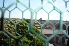 2011-05 Ora-et-labora im Mai 026