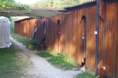 2011 Weltjugendtag 116