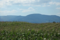 2011 Weltjugendtag 130