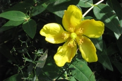 2011 Weltjugendtag 139