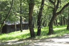 2011 Weltjugendtag 140