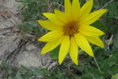 2011 Weltjugendtag 153