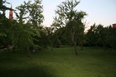 2011 Weltjugendtag 183