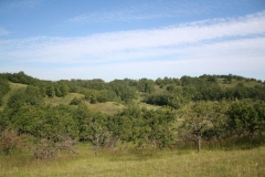 2011 Weltjugendtag 196