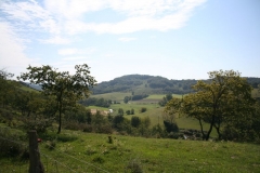 2011 Weltjugendtag 197