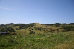 2011 Weltjugendtag 198