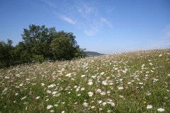 2011 Weltjugendtag 205