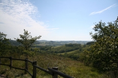 2011 Weltjugendtag 208