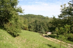 2011 Weltjugendtag 212