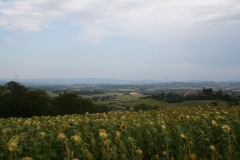 2011 Weltjugendtag 229