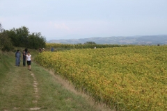 2011 Weltjugendtag 230