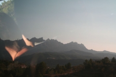 2011 Weltjugendtag 248