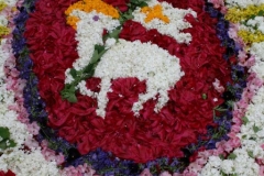 2013-06-02 Fronleichnam Eilsleben 003