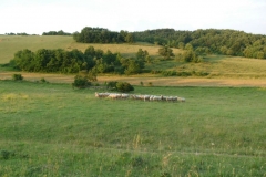 2013 Jugendexerzitien 006