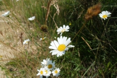 2013 Jugendexerzitien 049