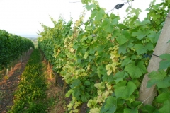 2013 Jugendexerzitien 079