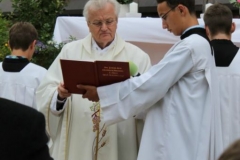 2014 Fronleichnam B 041