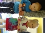 2016 Legearbeiten Kindergarten