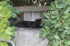 image028