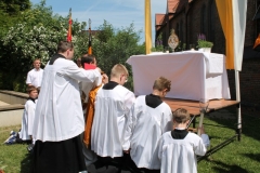 image224