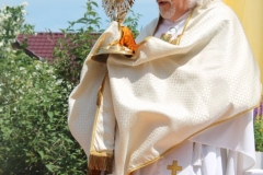 image230