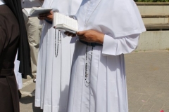 image237