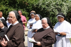 image238