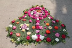 image004