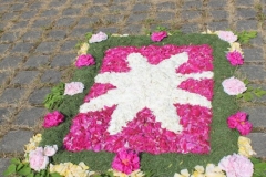image009