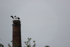 image057