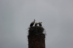 image058