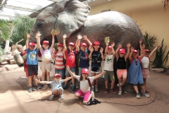 IMG_20240626_125715
