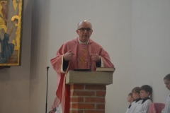 image005